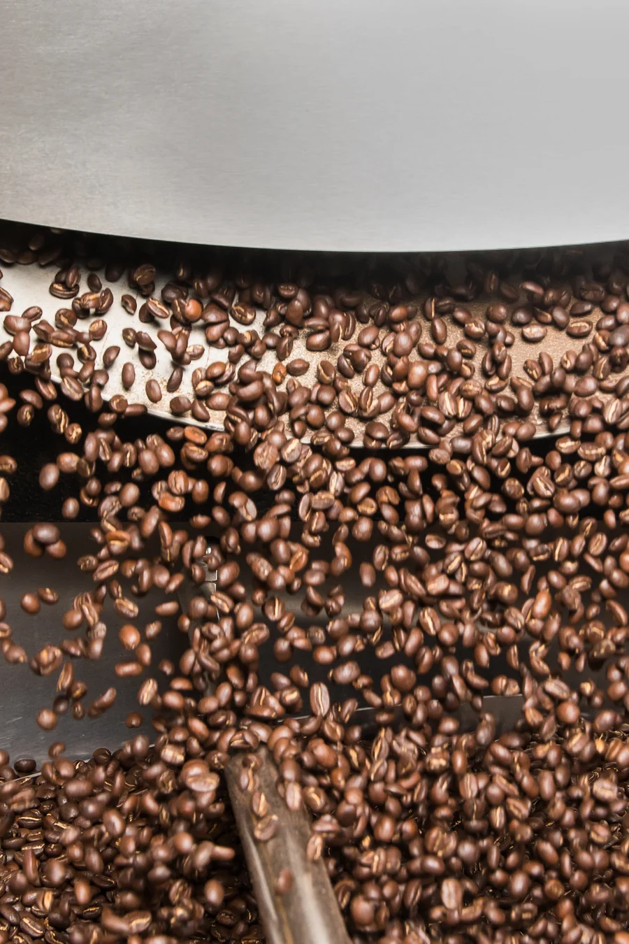 Roasted beans pouring from the roaster into the cooling tray