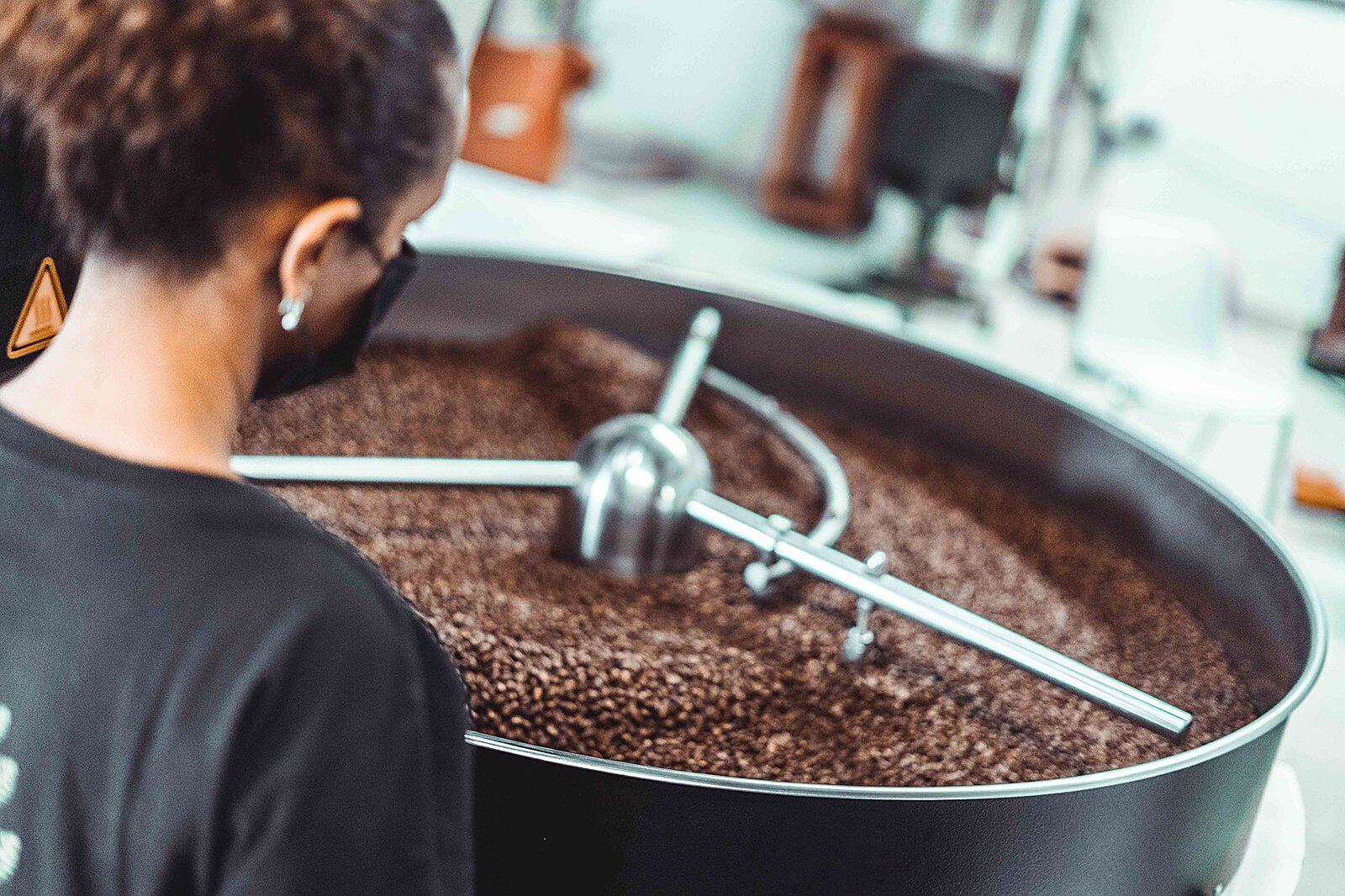 A Boon roaster inspecting a cooling tray of beans
