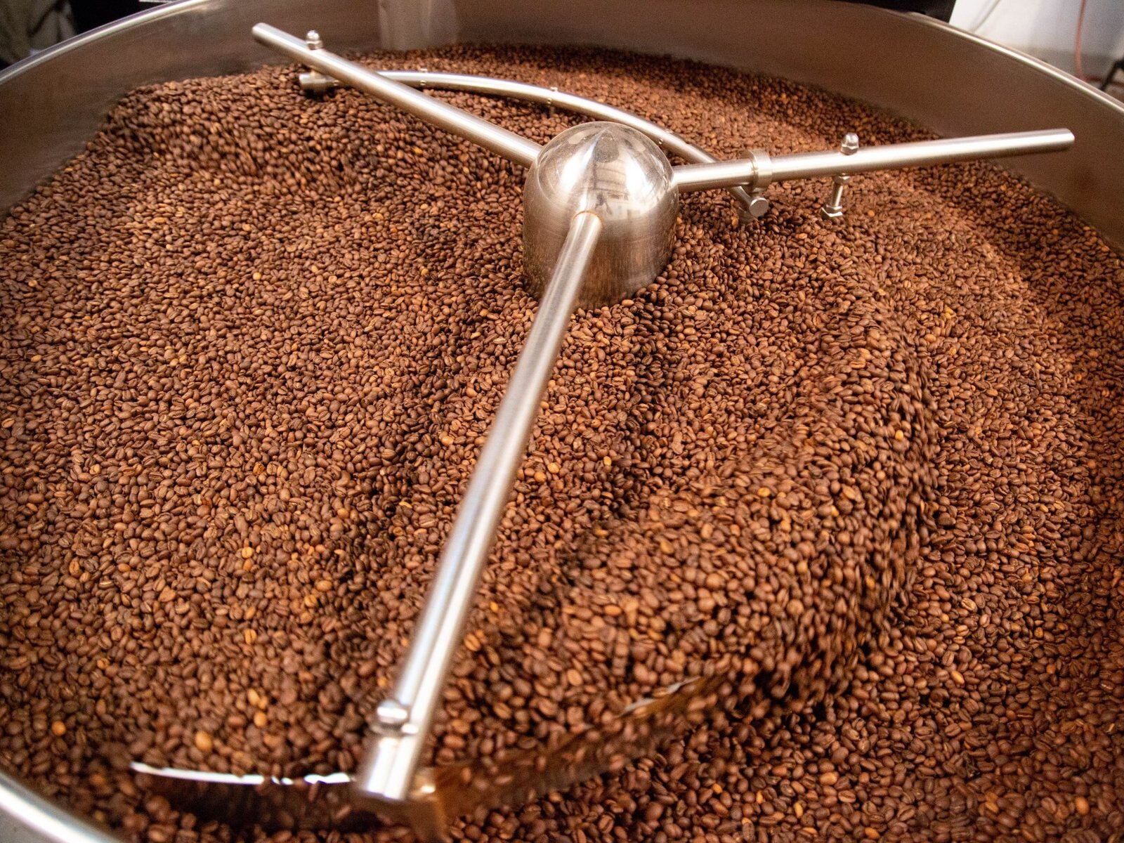 Freshly roasted beans turning in the roaster drum