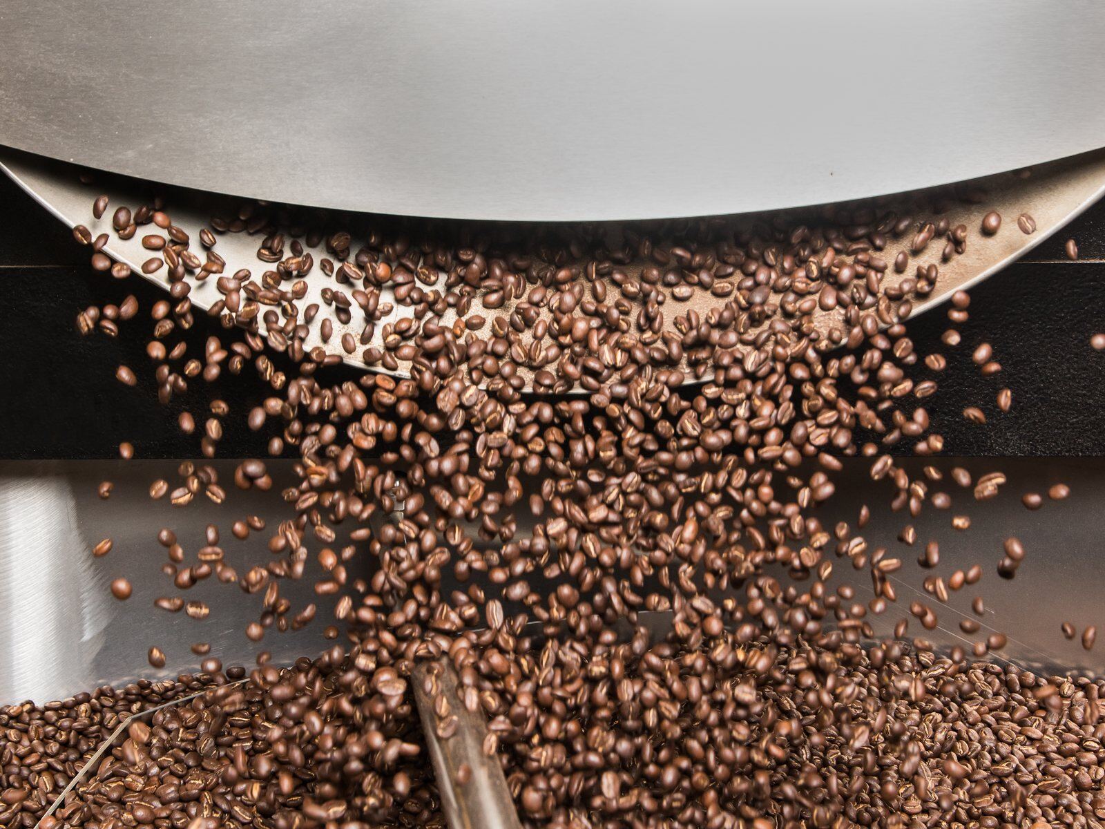 Freshly roasted beans pouring from the drum