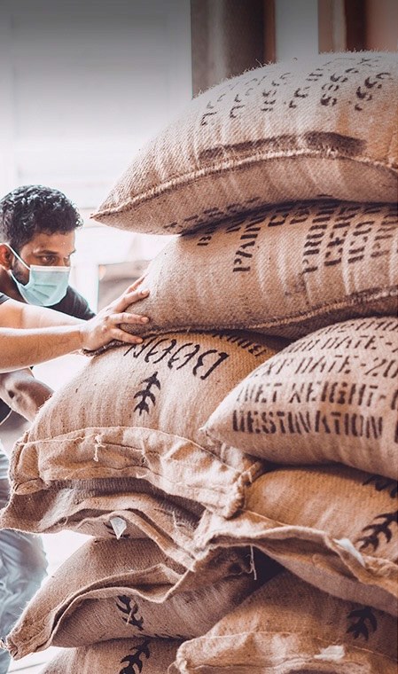 Sacks of green coffee arriving at the Boon roastery
